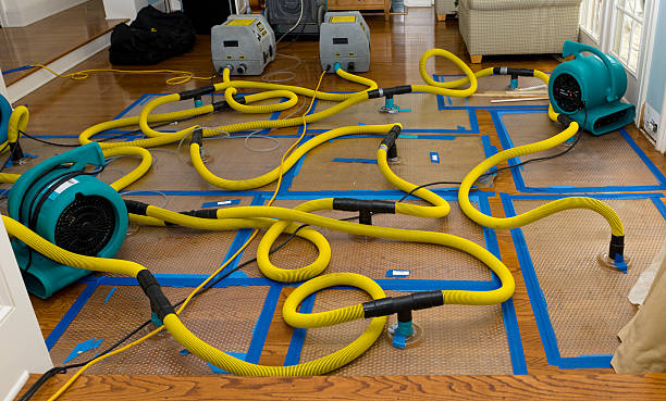 Professional Water Damage Repair technician working in Harrisburg, PA